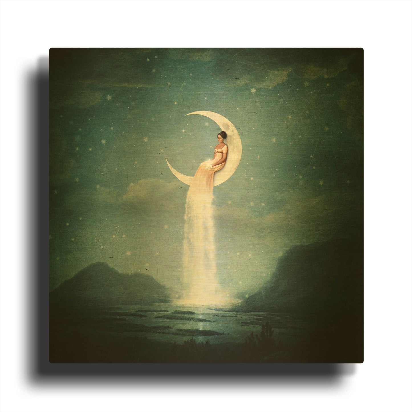 'Moon River Lady' By Paula Belle Flores Gold Metal Wall Art