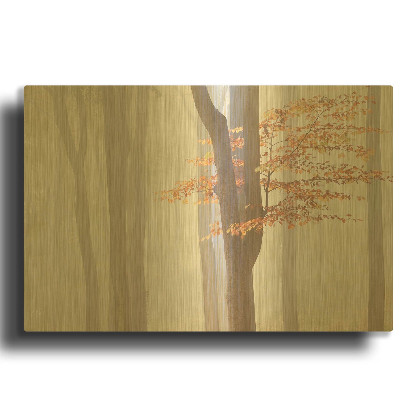 'Arnhem Park Zypendaal D1055D' By Wilco Dragt Gold Metal Wall Art