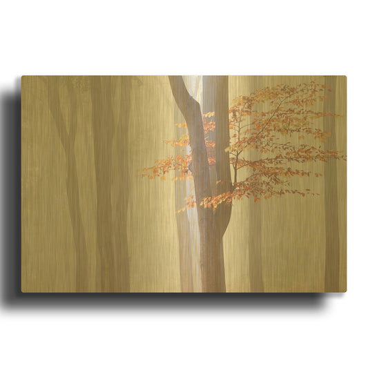 'Arnhem Park Zypendaal D1055D' By Wilco Dragt Gold Metal Wall Art