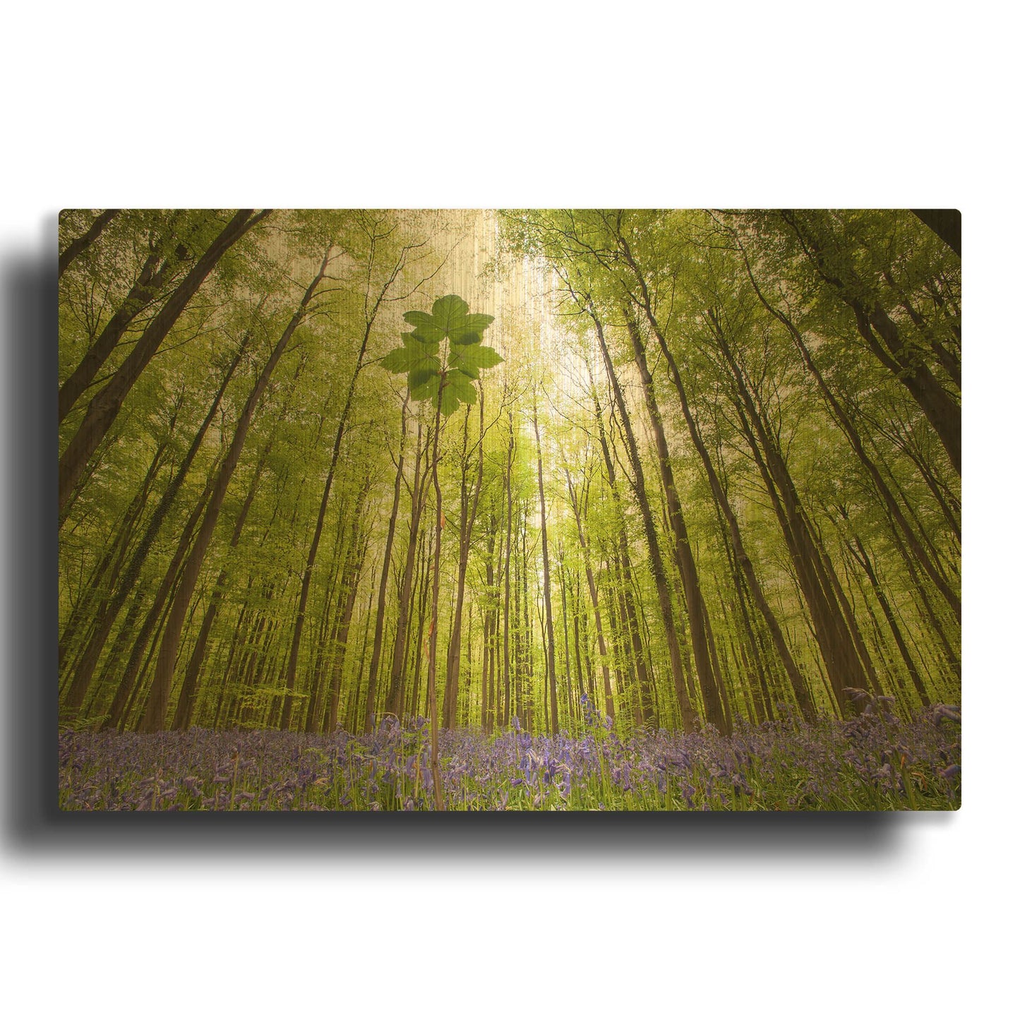 'Hallerbos D1057D' By Wilco Dragt Gold Metal Wall Art