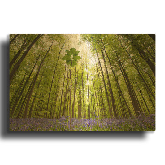 'Hallerbos D1057D' By Wilco Dragt Gold Metal Wall Art