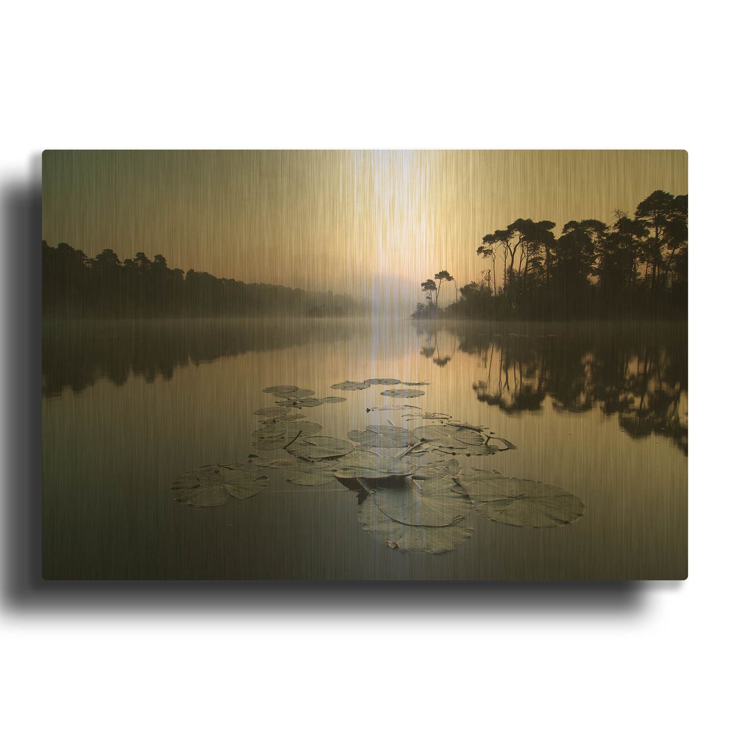 'Oisterwijkse Vennen D1064D' By Wilco Dragt Gold Metal Wall Art