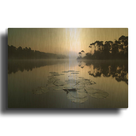 'Oisterwijkse Vennen D1064D' By Wilco Dragt Gold Metal Wall Art