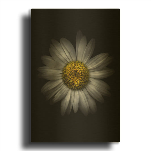 'Backyard Flowers 13 Color Version' By Brian Carson Gold Metal Wall Art