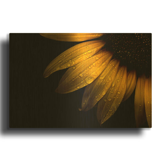 'Backyard Flowers 28 Sunflower' By Brian Carson Gold Metal Wall Art