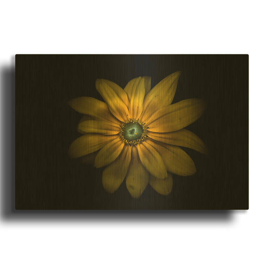 'Backyard Flowers 34 Color Version' By Brian Carson Gold Metal Wall Art
