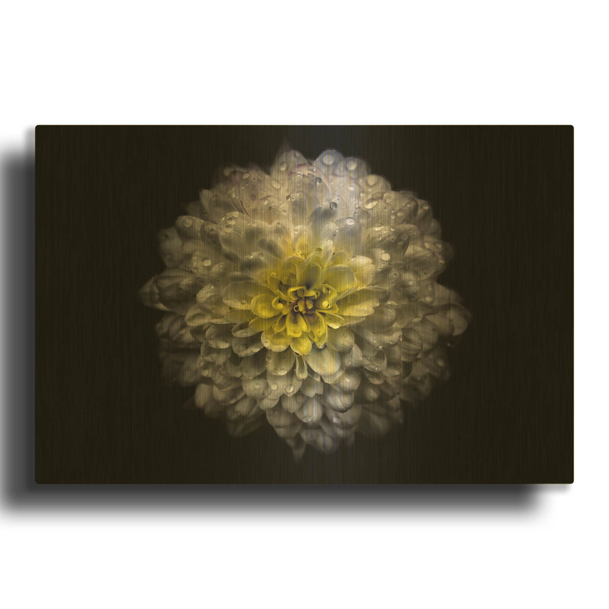 'Backyard Flowers 46 Color Version' By Brian Carson Gold Metal Wall Art