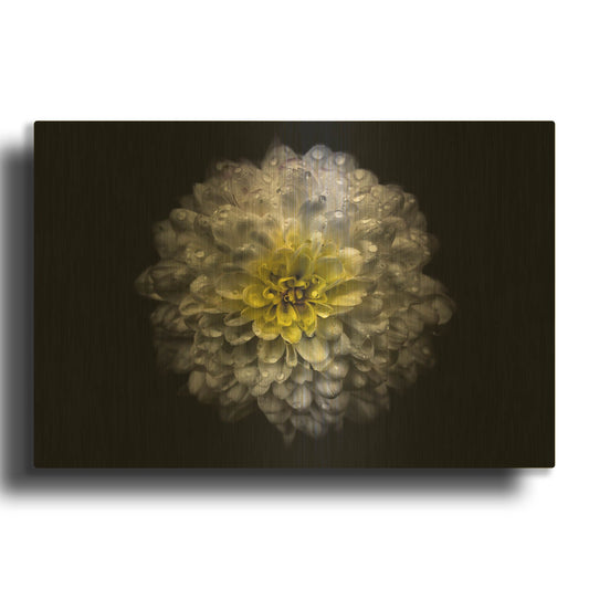 'Backyard Flowers 46 Color Version' By Brian Carson Gold Metal Wall Art