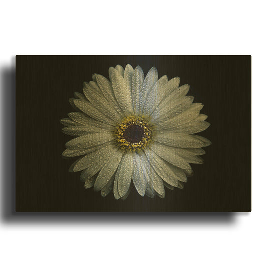'Backyard Flowers 71 Color Version' By Brian Carson Gold Metal Wall Art