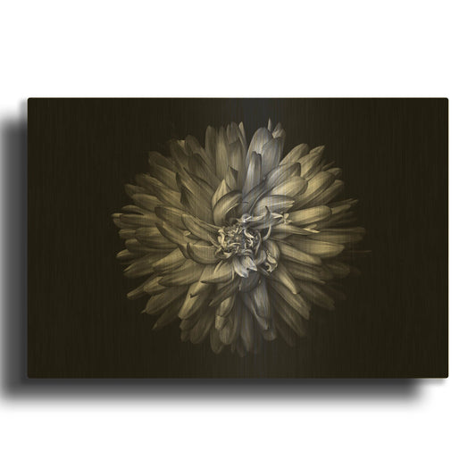 'Backyard Flowers In Black And White 20' By Brian Carson Gold Metal Wall Art