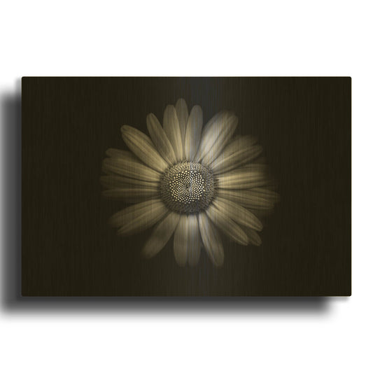 'Backyard Flowers In Black And White 31' By Brian Carson Gold Metal Wall Art
