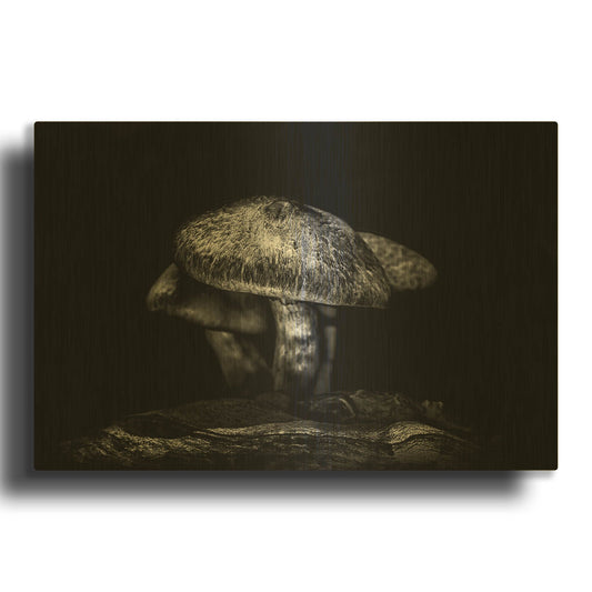 'Toadstools On A Trail No 1' By Brian Carson Gold Metal Wall Art