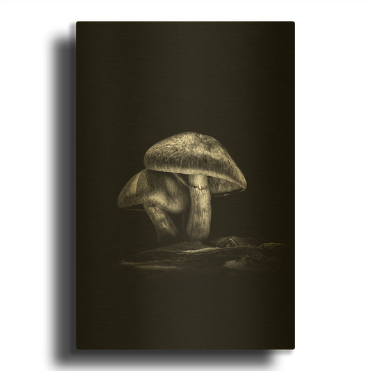 'Toadstools On A Trail No 2' By Brian Carson Gold Metal Wall Art