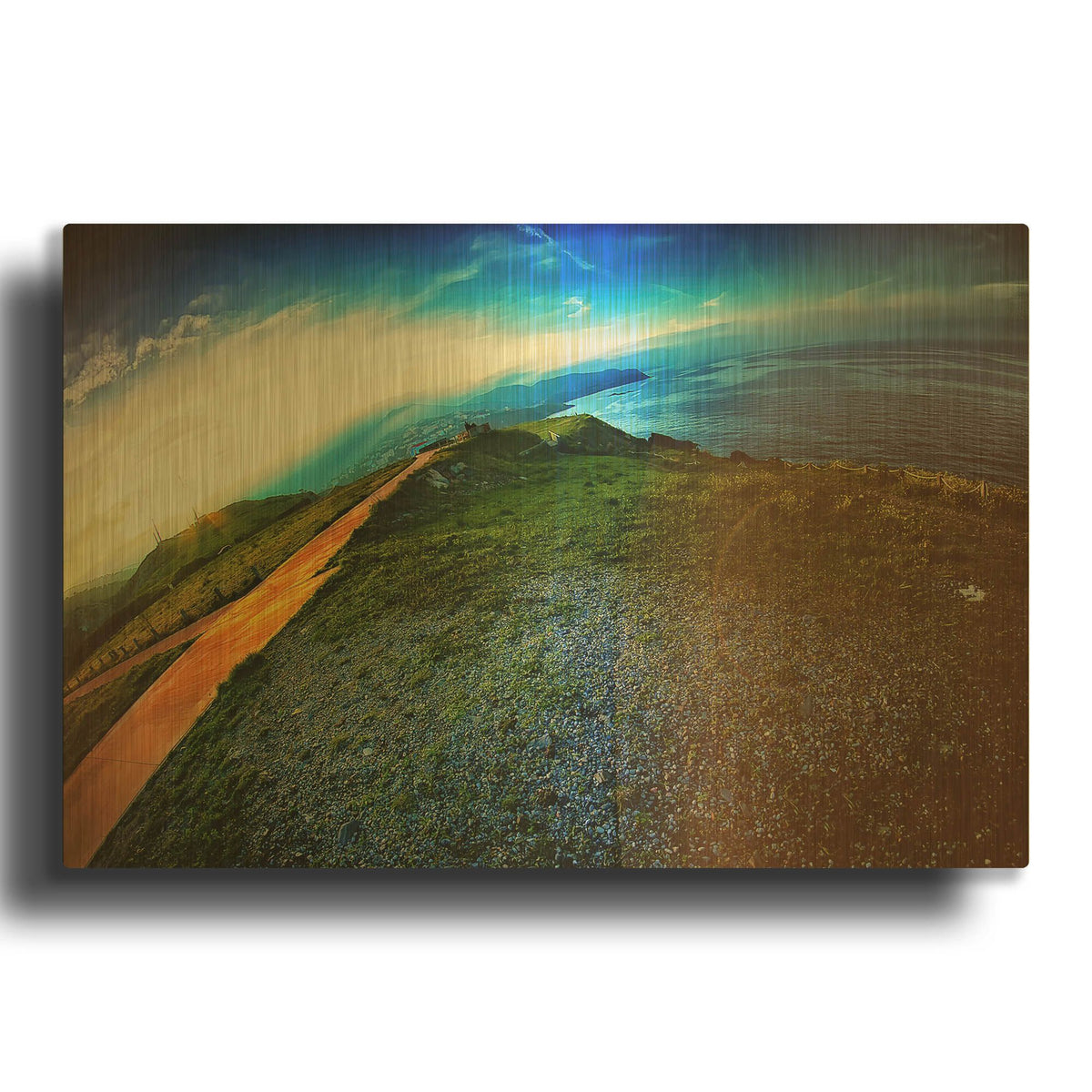 'Cap Bear' By Sebastien Lory Gold Metal Wall Art