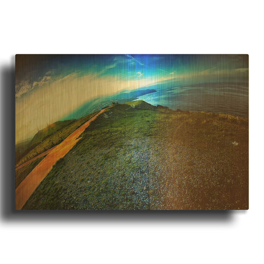 'Cap Bear' By Sebastien Lory Gold Metal Wall Art
