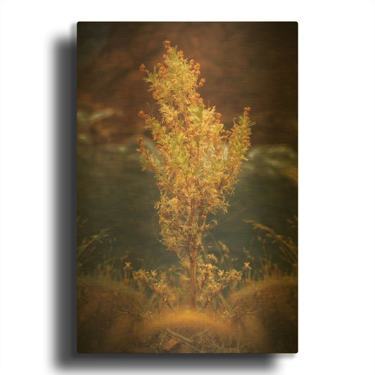 'View Point' By Sebastien Lory Gold Metal Wall Art