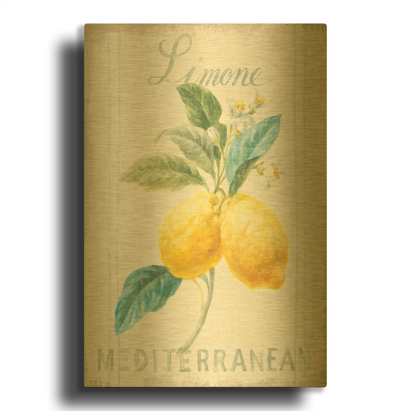 'Floursack Lemon III' By Danhui Nai Gold Metal Wall Art