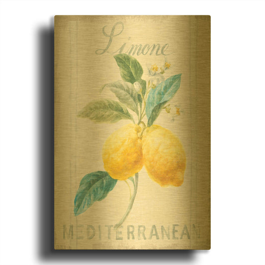 'Floursack Lemon III' By Danhui Nai Gold Metal Wall Art