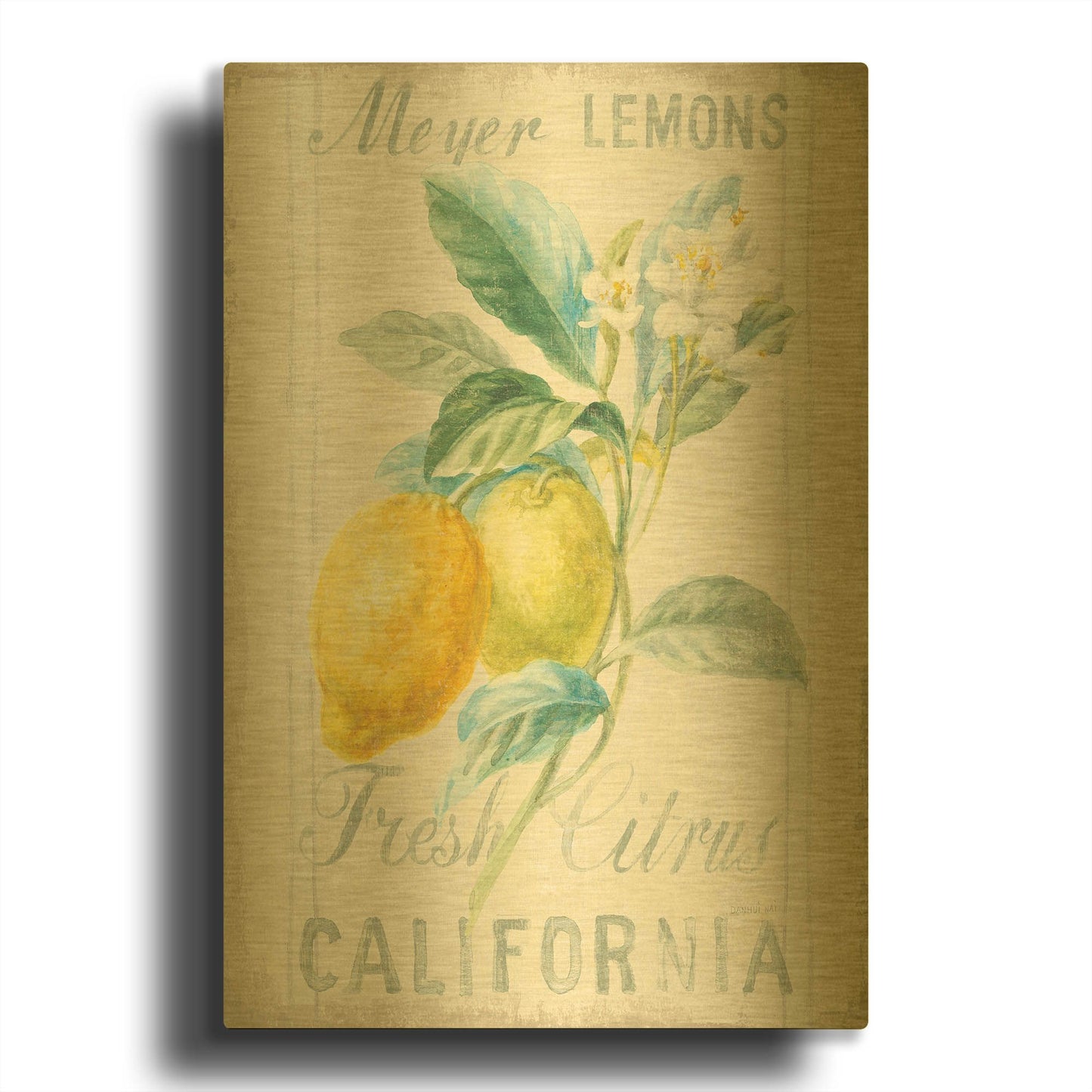 'Floursack Lemon II' By Danhui Nai Gold Metal Wall Art