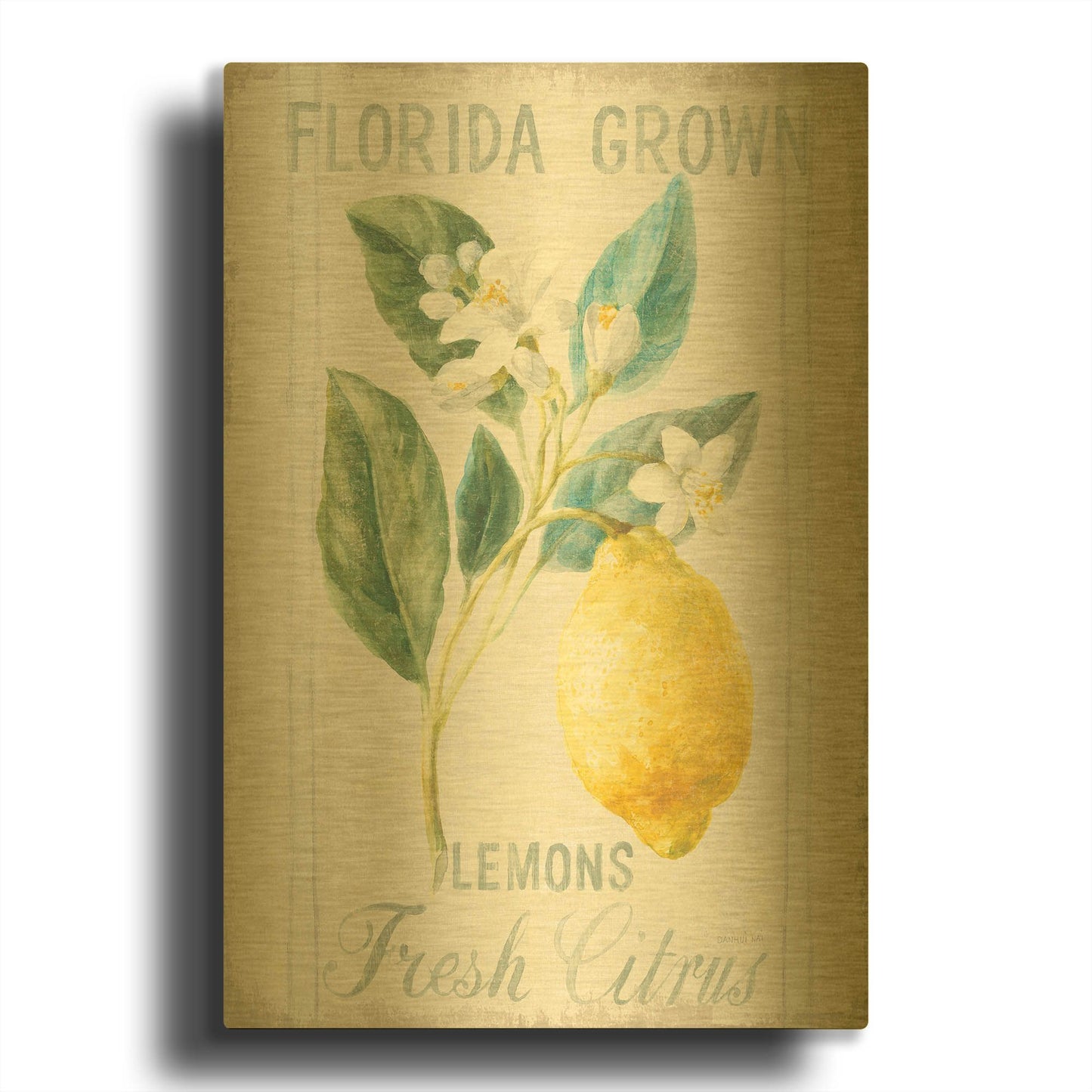 'Floursack Lemon I' By Danhui Nai Gold Metal Wall Art
