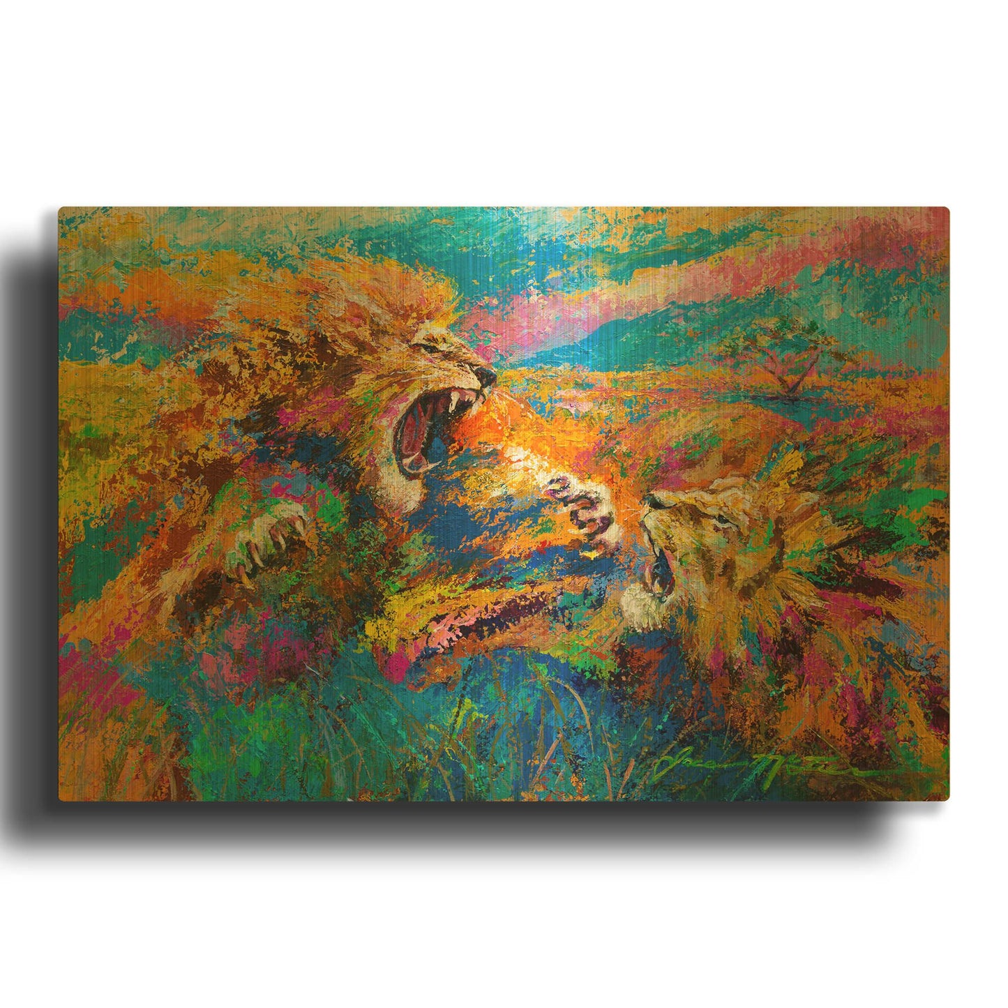 'Pride Fight in the Savanna African Lions' By Jace D McTier Gold Metal Wall Art