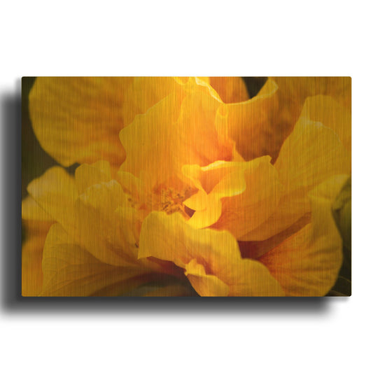 'Hibiscus Folds' By Chris Moyer Gold Metal Wall Art