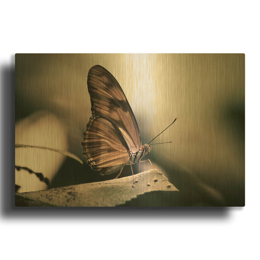 'Muted' By Chris Moyer Gold Metal Wall Art