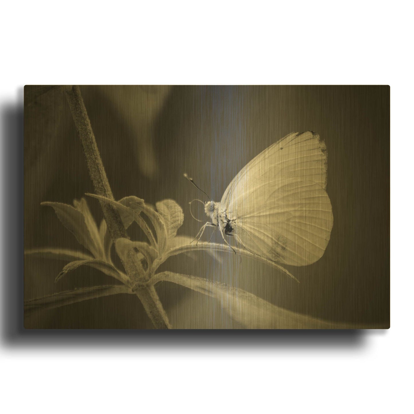 'Patiently Wait' By Chris Moyer Gold Metal Wall Art