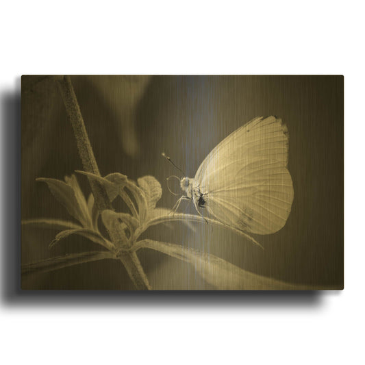 'Patiently Wait' By Chris Moyer Gold Metal Wall Art