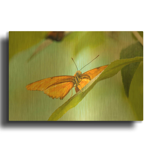 'The Lookout' By Chris Moyer Gold Metal Wall Art