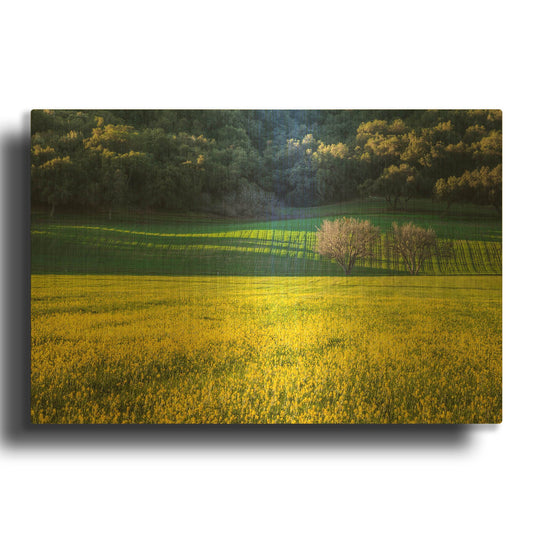 'Together Forever' By Chris Moyer Gold Metal Wall Art