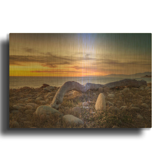 'Driftwood January' By Chris Moyer Gold Metal Wall Art