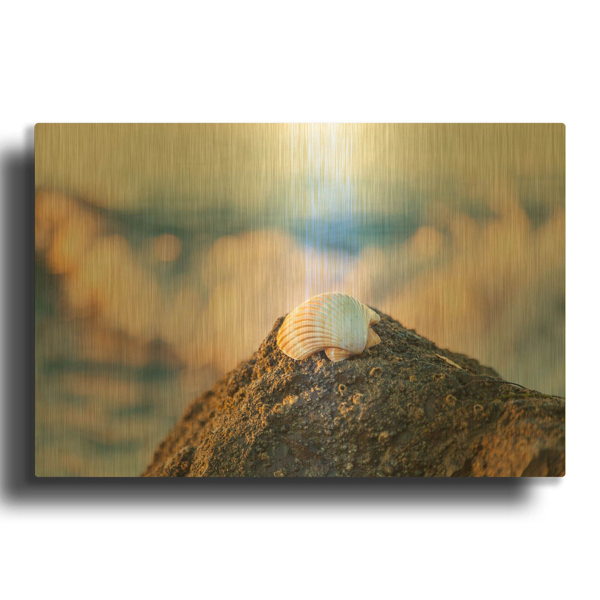'Shellview Surf' By Chris Moyer Gold Metal Wall Art