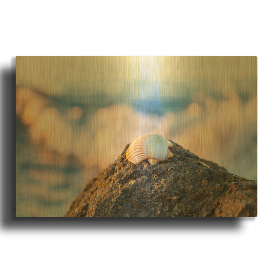 'Shellview Surf' By Chris Moyer Gold Metal Wall Art