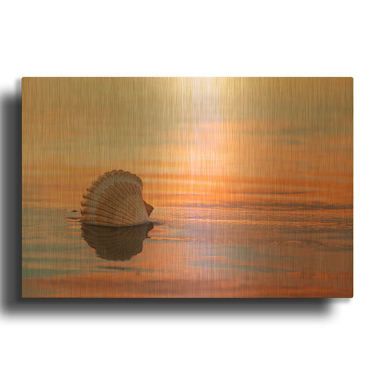 'Shellflection' By Chris Moyer Gold Metal Wall Art