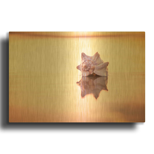 'King of the Beach' By Chris Moyer Gold Metal Wall Art