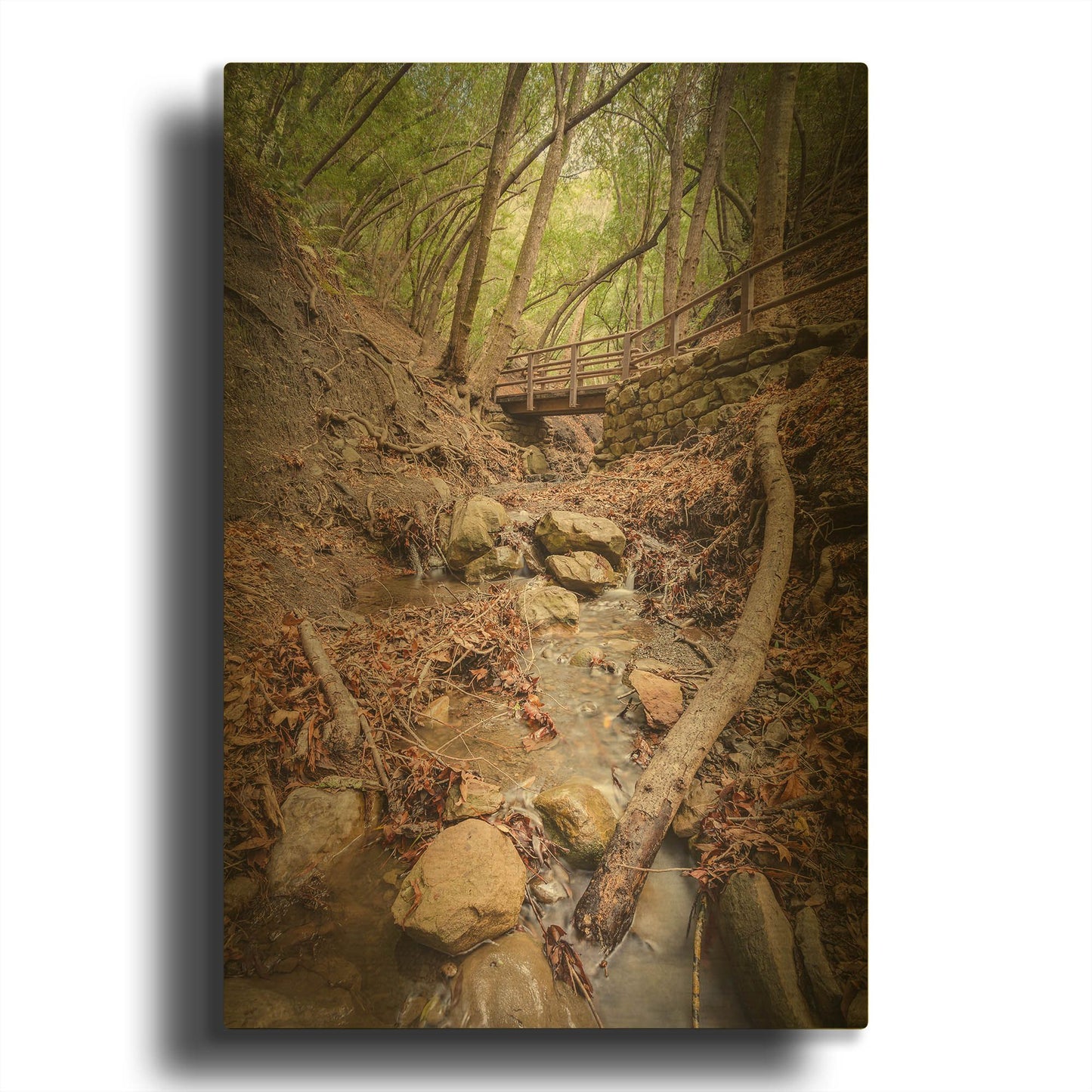 'Lower Nojoqui Falls' By Chris Moyer Gold Metal Wall Art