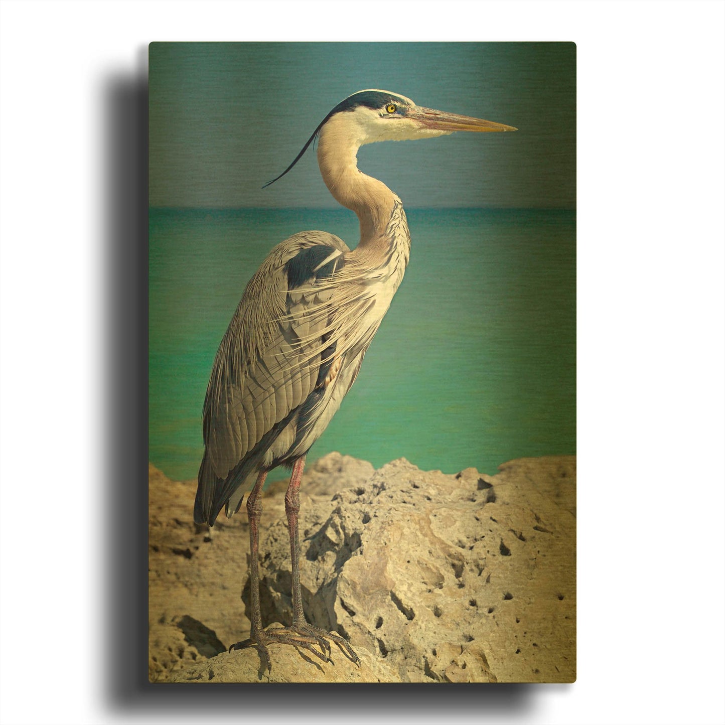 'Blue Heron' By Mike Jones Gold Metal Wall Art