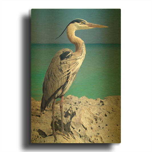 'Blue Heron' By Mike Jones Gold Metal Wall Art