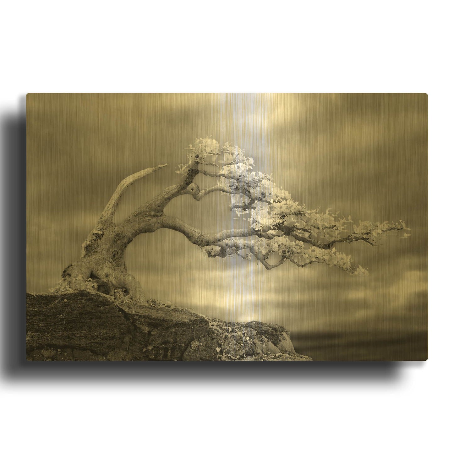 'Bonzai' By Mike Jones Gold Metal Wall Art