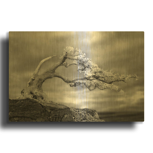 'Bonzai' By Mike Jones Gold Metal Wall Art