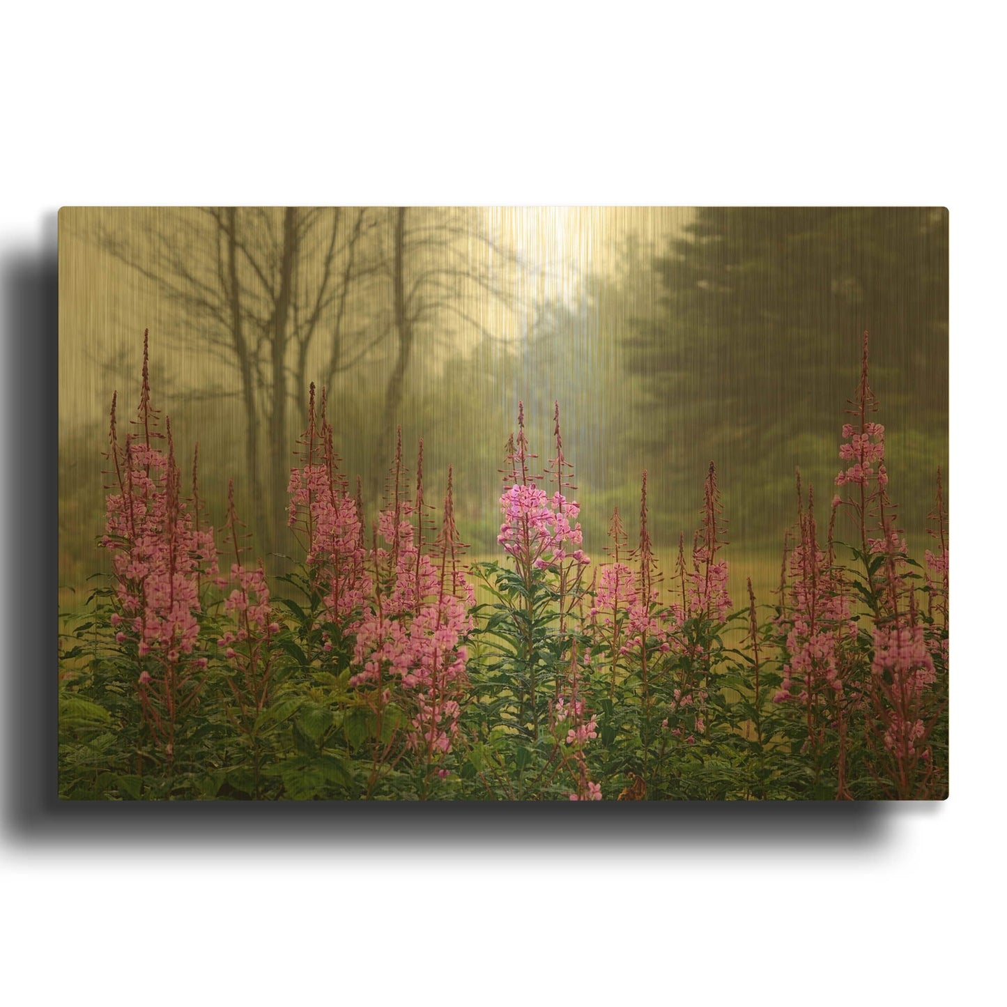'Campobello Lupine' By Mike Jones Gold Metal Wall Art
