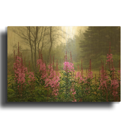 'Campobello Lupine' By Mike Jones Gold Metal Wall Art