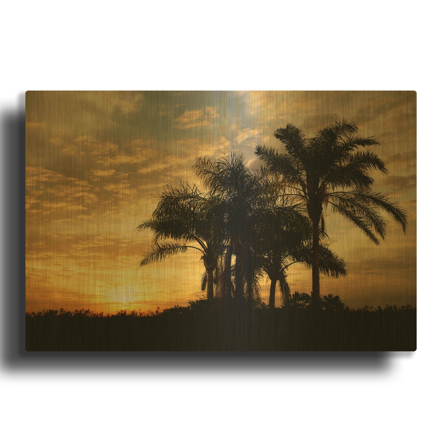 'Everglades Sunrise' By Mike Jones Gold Metal Wall Art
