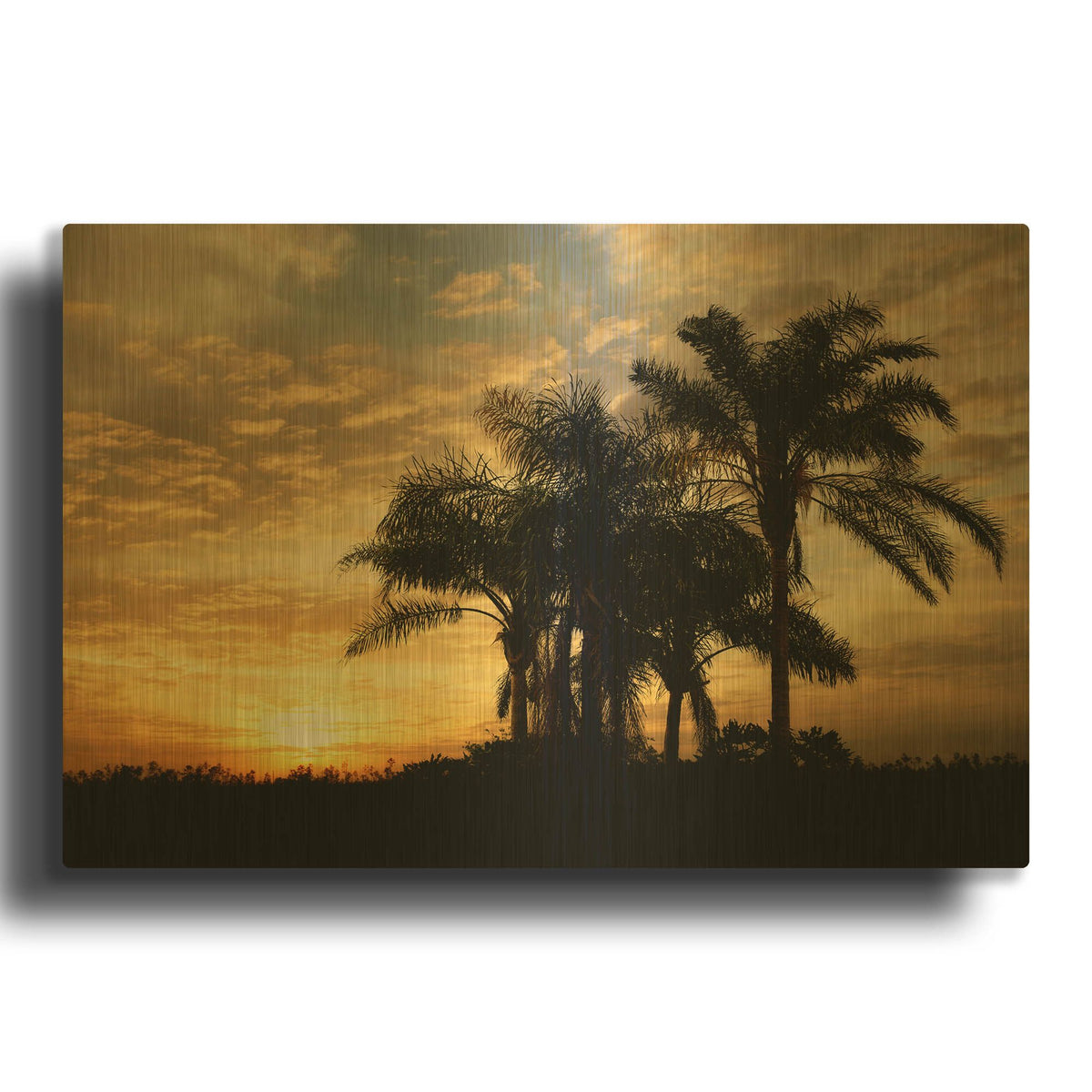 'Everglades Sunrise' By Mike Jones Gold Metal Wall Art