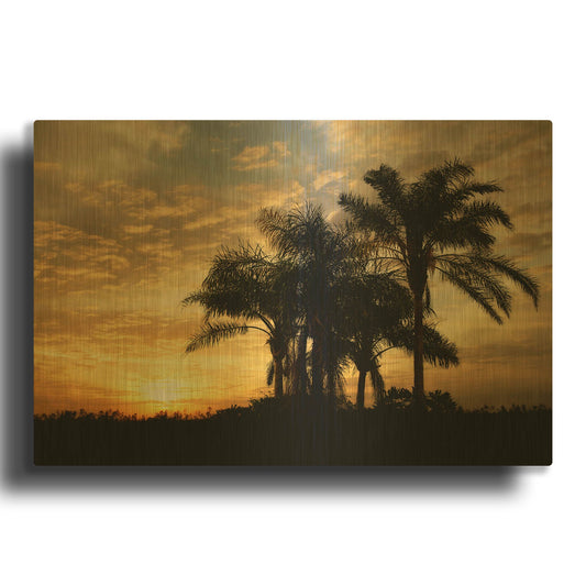 'Everglades Sunrise' By Mike Jones Gold Metal Wall Art