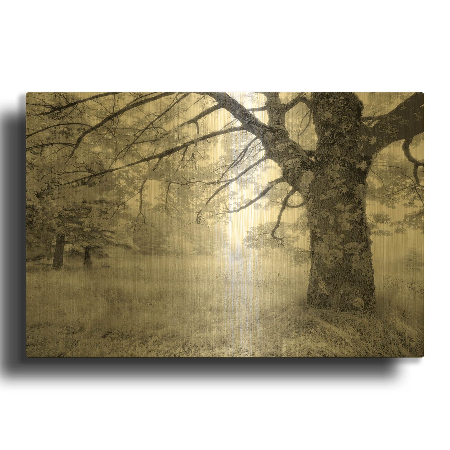 ''' By Mike Jones Gold Metal Wall Art