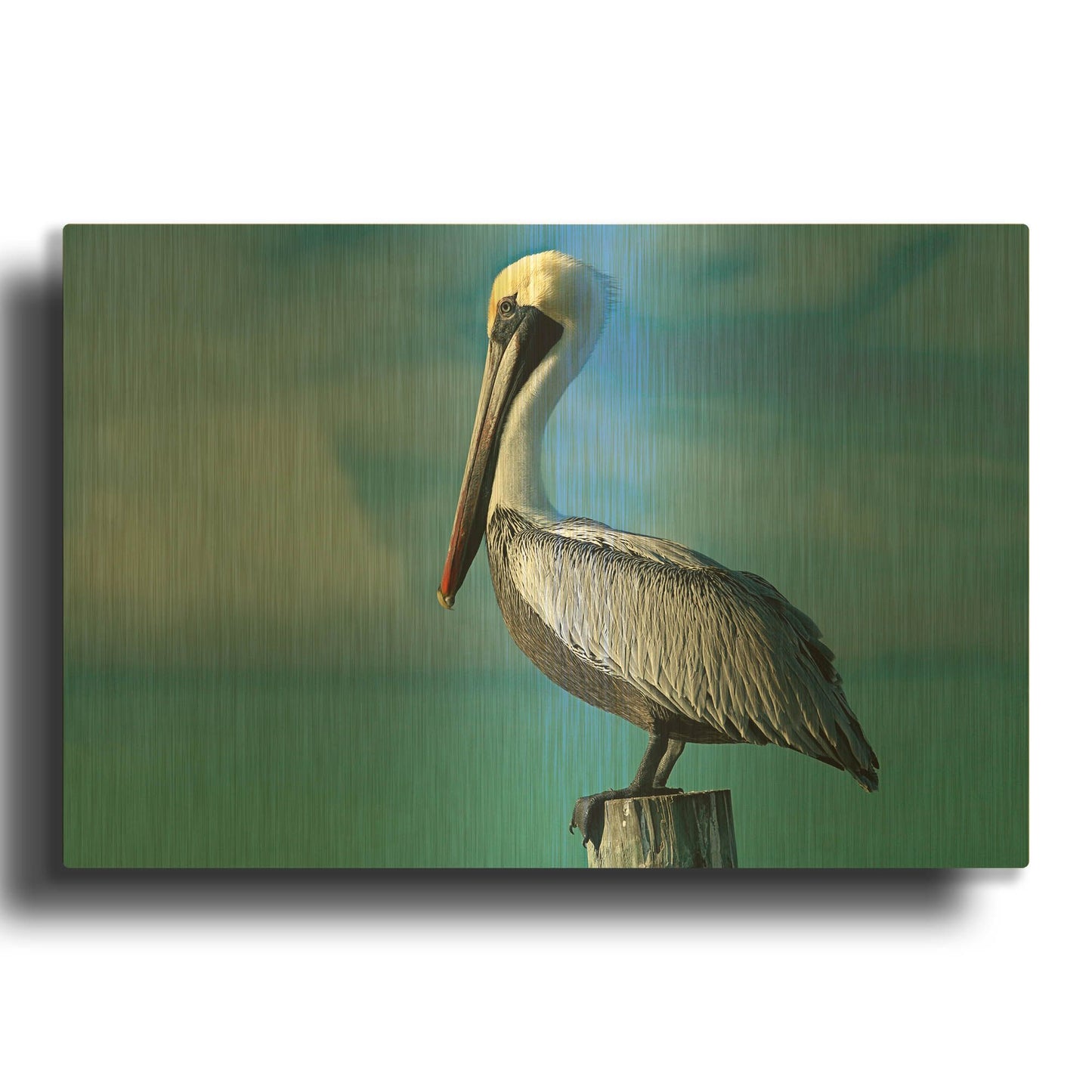 'Pelican' By Mike Jones Gold Metal Wall Art