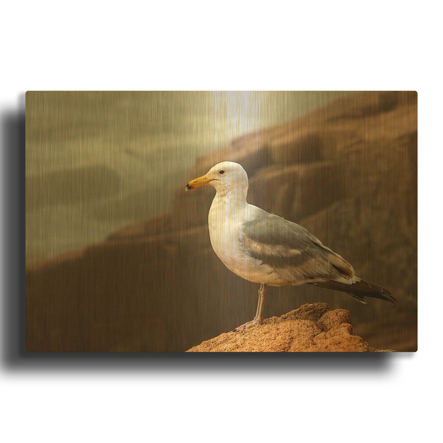 'Seagull' By Mike Jones Gold Metal Wall Art