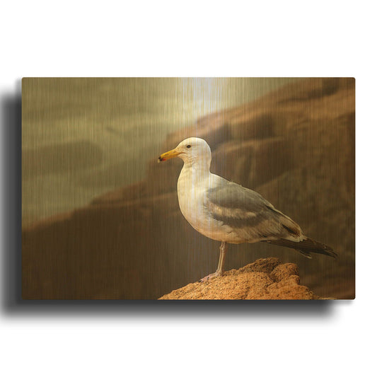'Seagull' By Mike Jones Gold Metal Wall Art